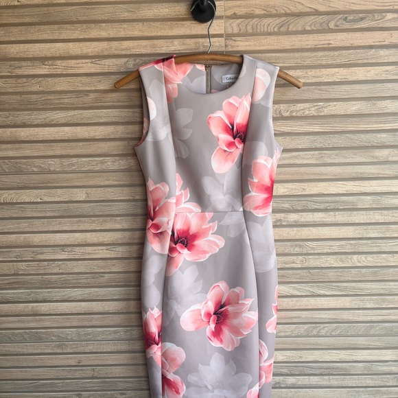 Calvin Klein Dresses & Skirts - Calvin Klein Beige Pink Floral Print Sheath Dress - Size 2P Petite